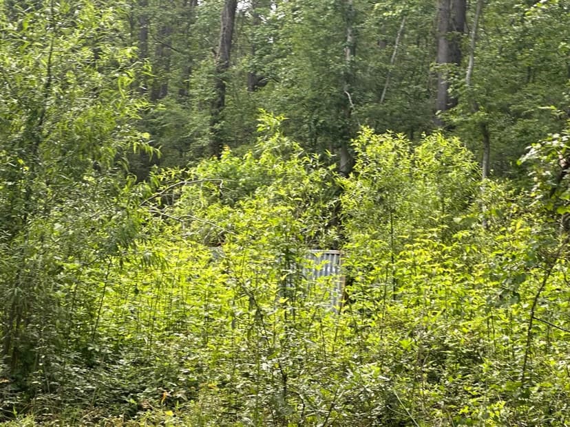 Lots & Land-Other in Summerville