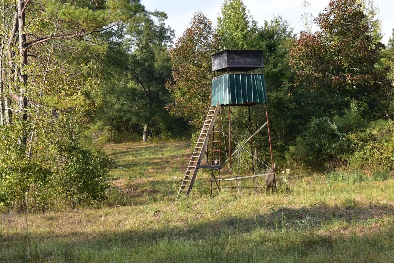 Smithton Branch East North Tract - Gurdon, Arkansas, 71711