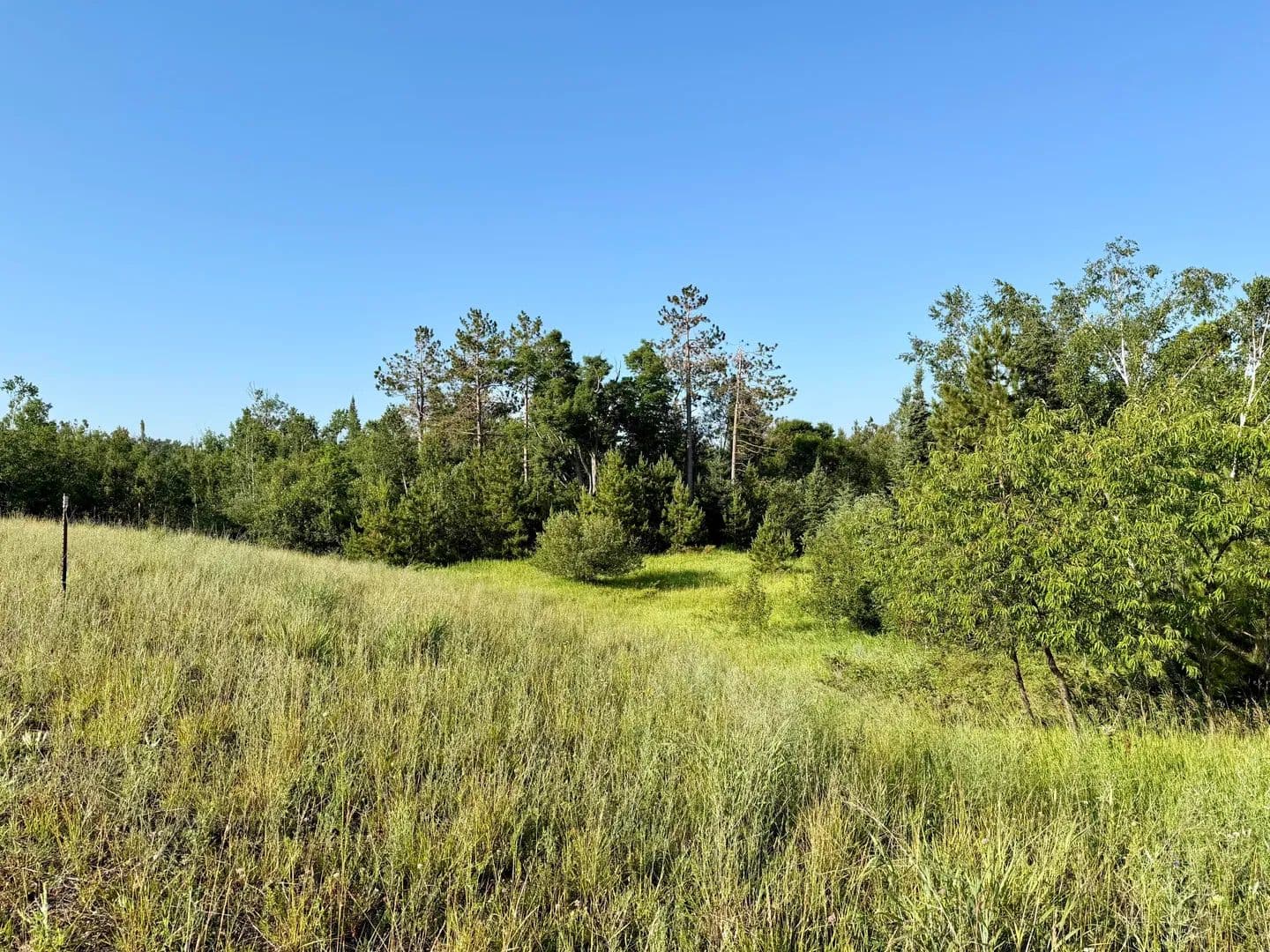 Vacant Land in Cheboygan - land for sale