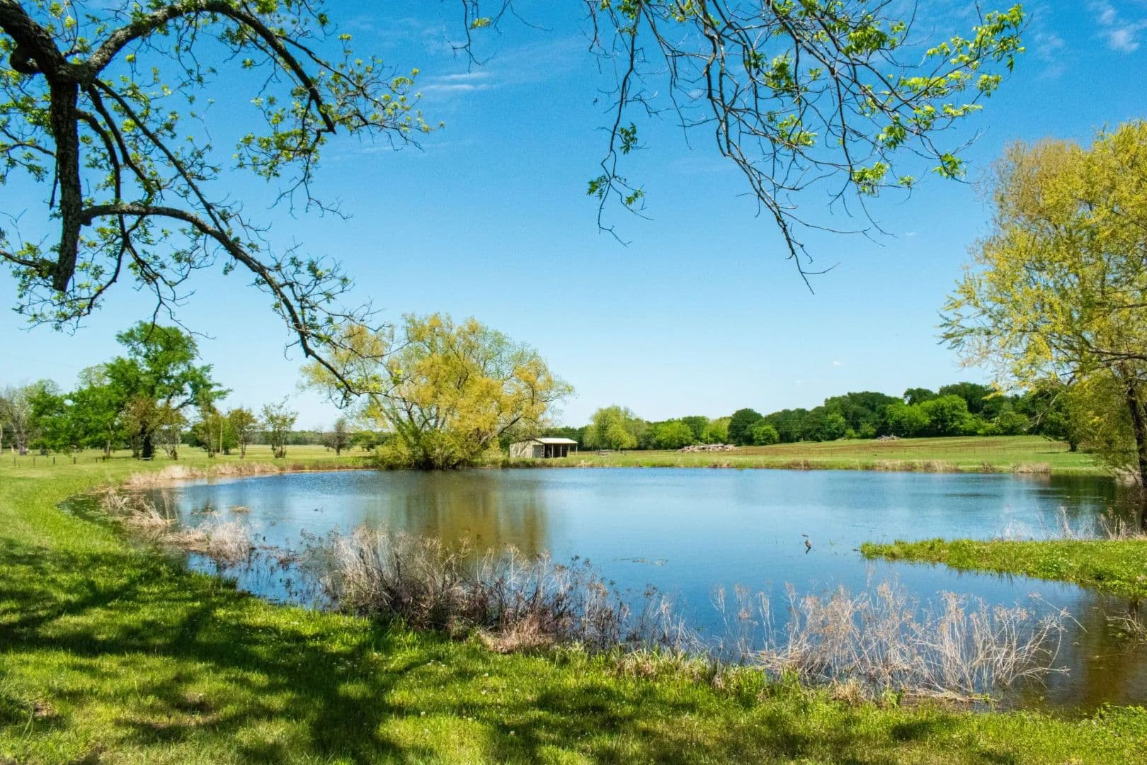 Hillside Ranch - Greenville, Texas, 75402