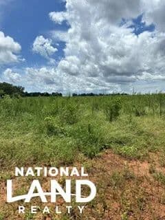 Auburn Parker/Hwy 85 Tract - Daleville, Alabama, 36322