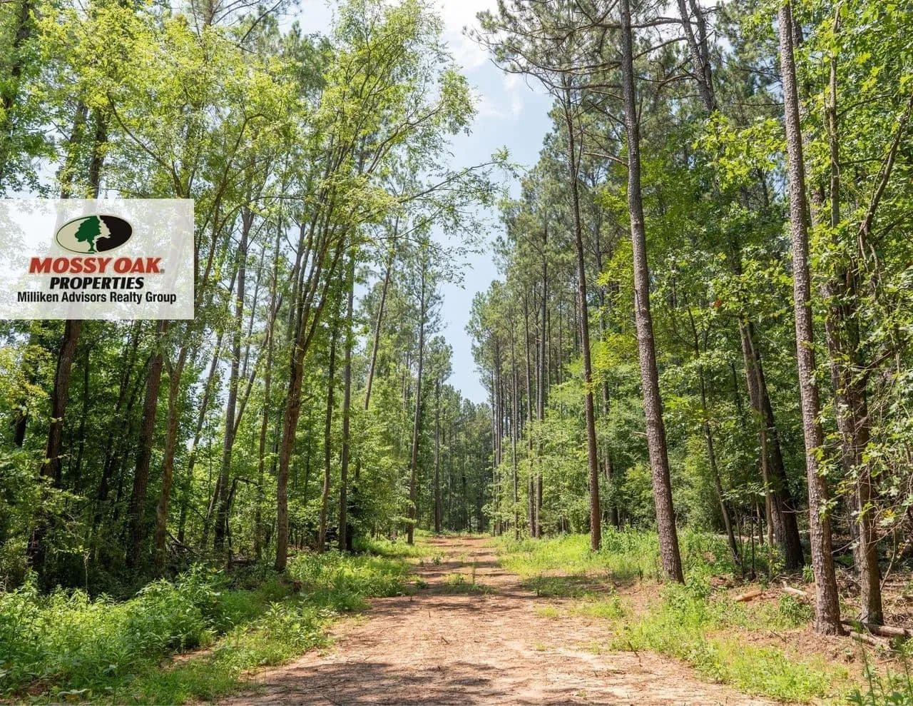 Stockman Pines - Greenwood, South Carolina, 29646