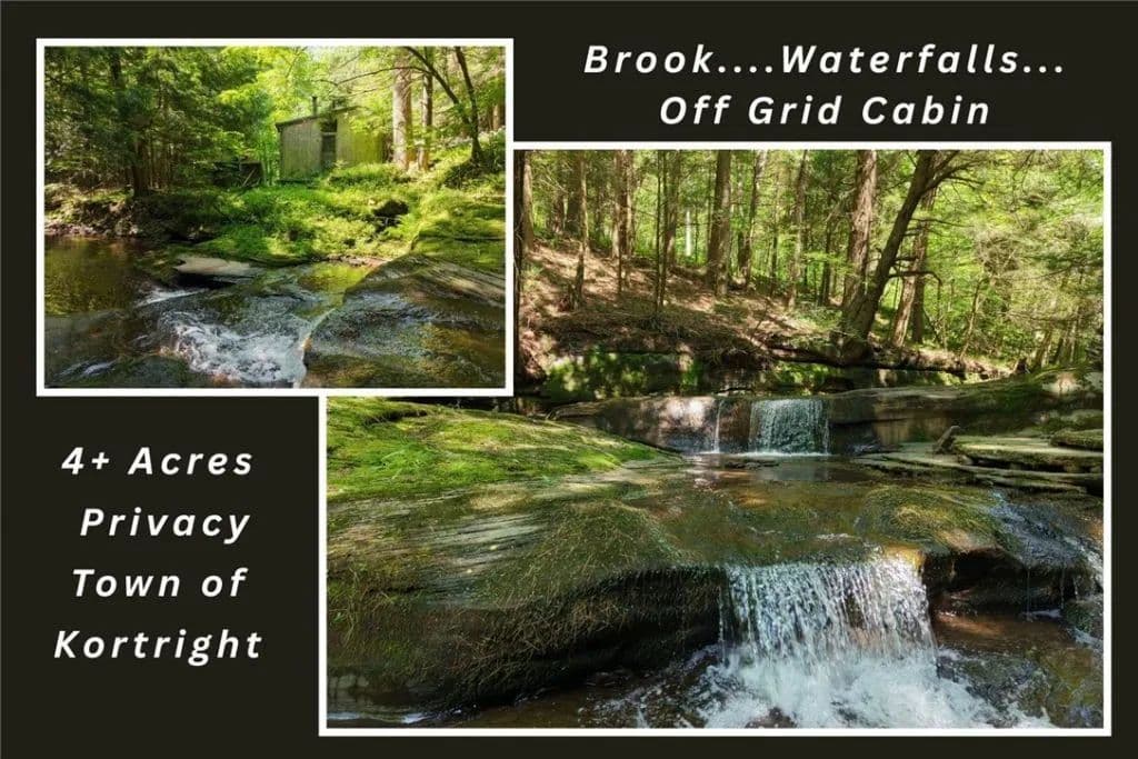 Land -Single Family Acreage in Delhi - Delhi, New York, 13842
