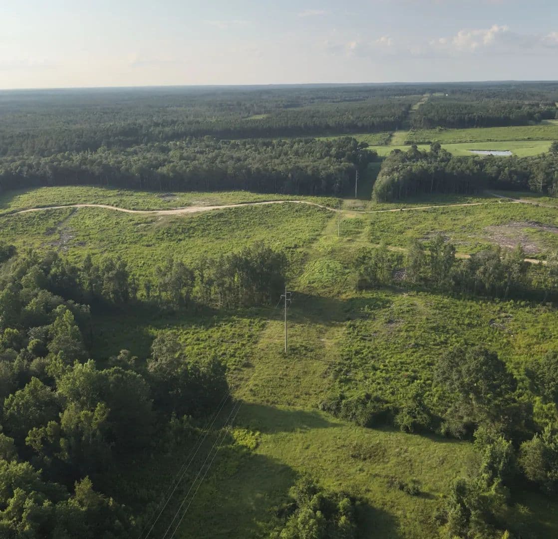 143 Acres in Wayne County in Waynesboro, MS - Waynesboro, Mississippi, 39367