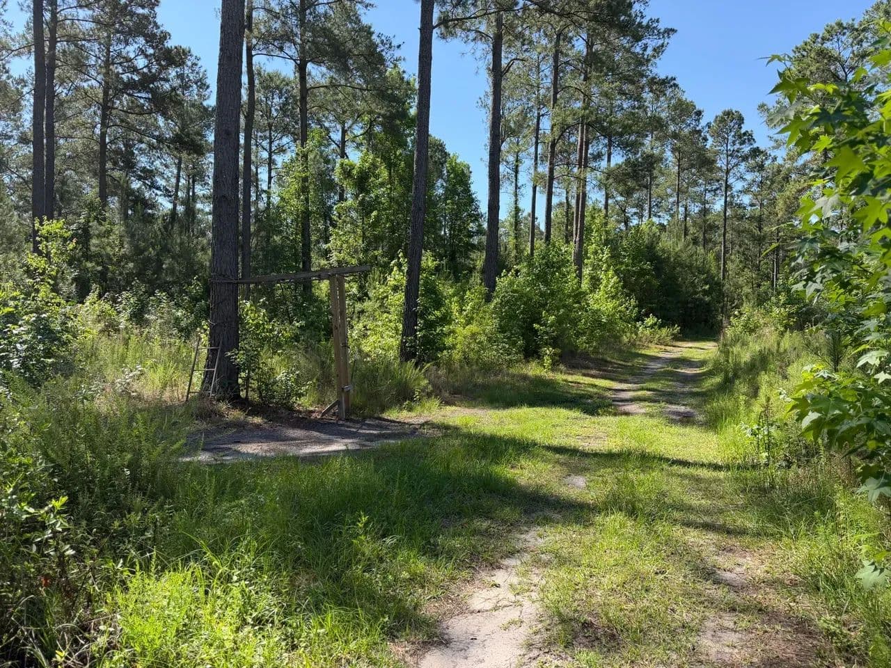 Bucks 17-1 - Conway, South Carolina, 29527