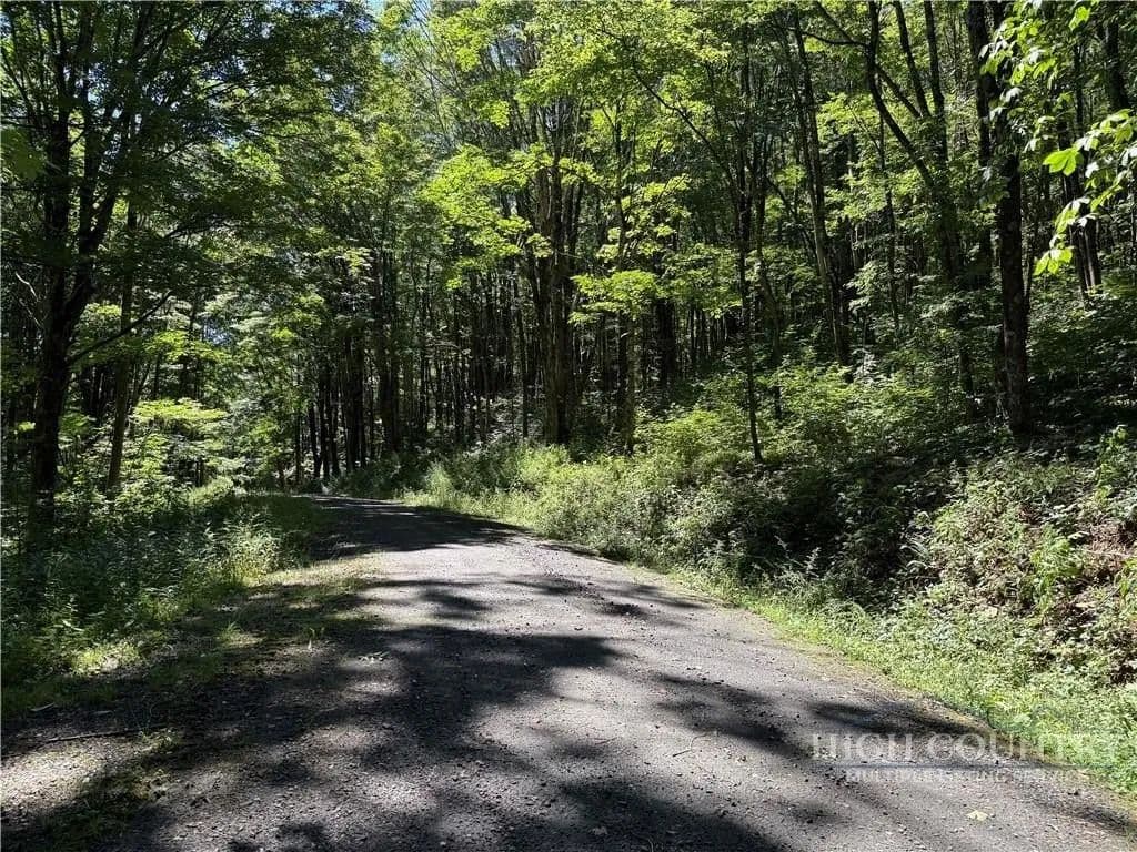 Lots & Land-Other in Todd - Todd, North Carolina, 28684