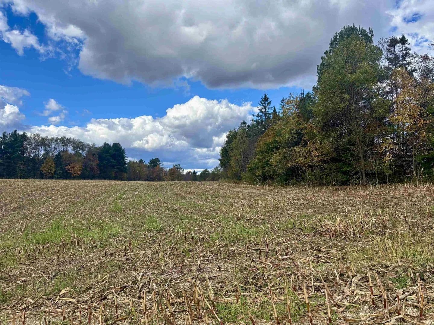 Lots & Land-Other in Lyndon - Lyndon, Vermont, 05851