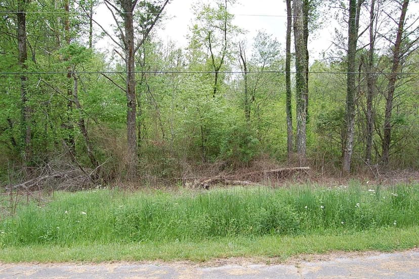 Land -Agricultural (Not Zoned) in Gruetli Laager