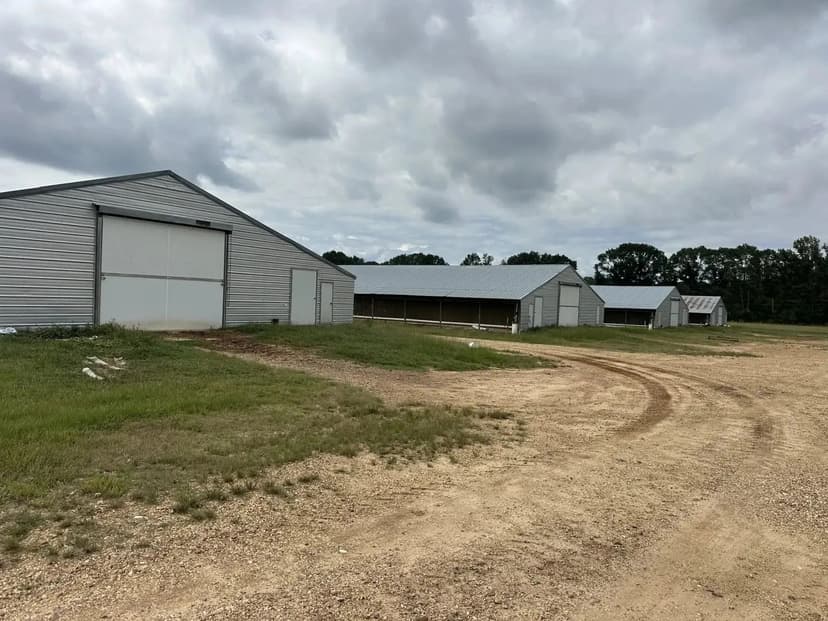 Creekside Broiler Farm – Four House Farm in Lawrence County, Mississippi