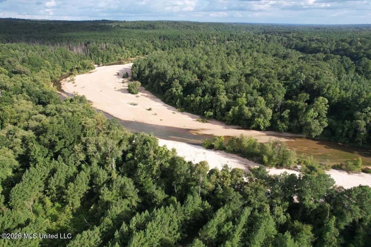 82± Acre Hunting Tract in Meadville, MS - Meadville, Mississippi, 39653