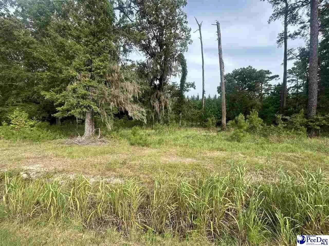 Lots & Land-Other in Coward - Coward, South Carolina, 29530