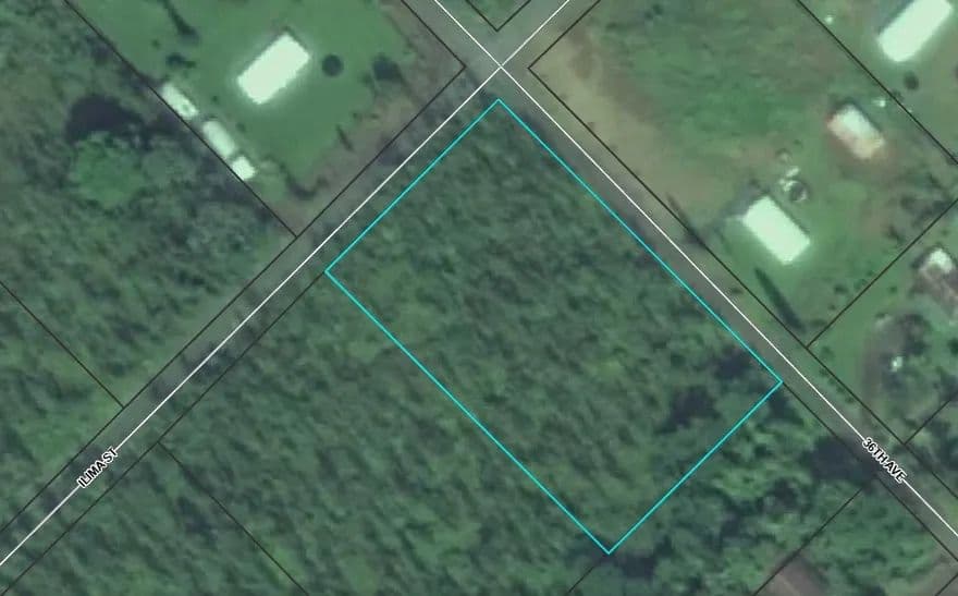 Vacant Land in Kurtistown - Kurtistown, Hawaii, 96760