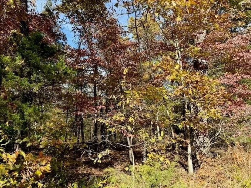 10 Acres, Off Grid, Close to Bull Shoals Lake