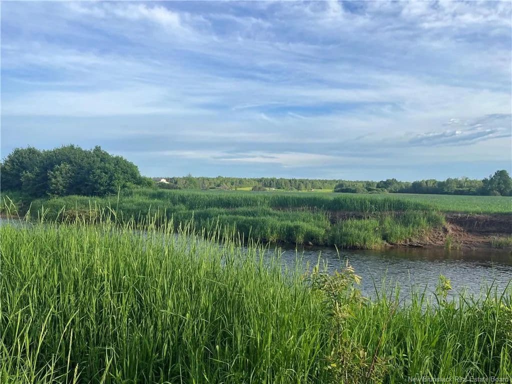 Land for Sale in Colpitts Settlement, NB - land for sale