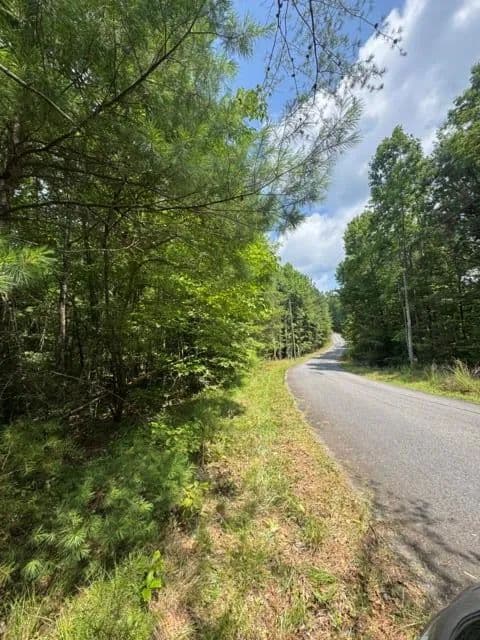Lots & Land-Other in Ellijay - Ellijay, Georgia, 30540