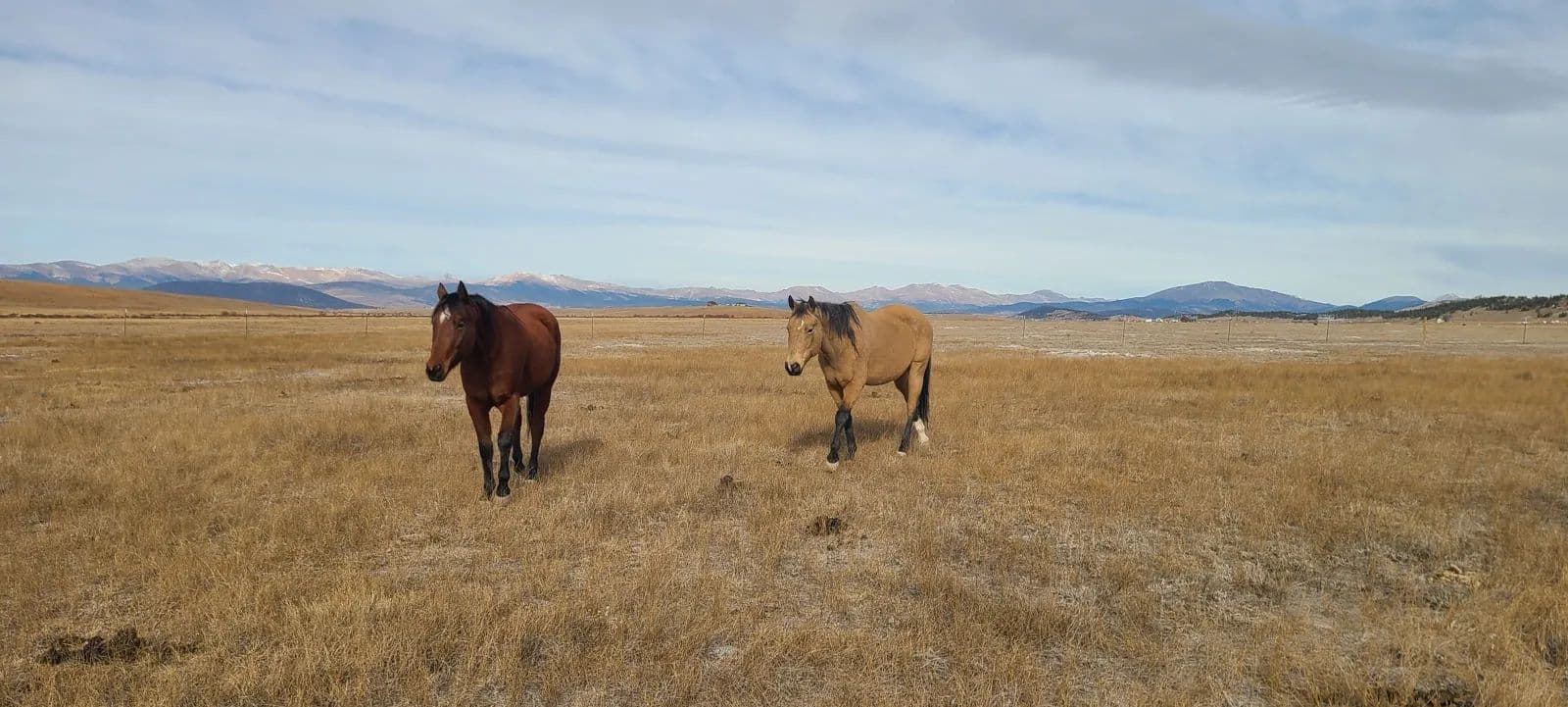 Paradise View Ranch - Hartsel, Colorado, 80449