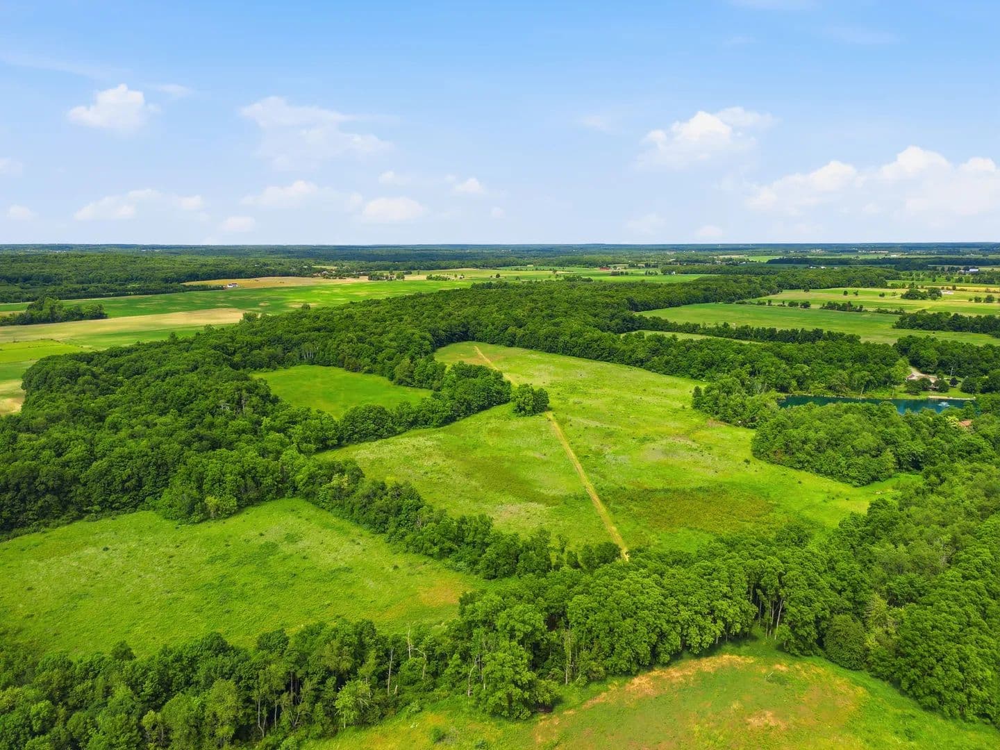 Hillsdale County – 95 Acres - Pittsford, Michigan, 49271