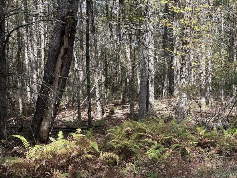 Lots & Land-Other in Bethel