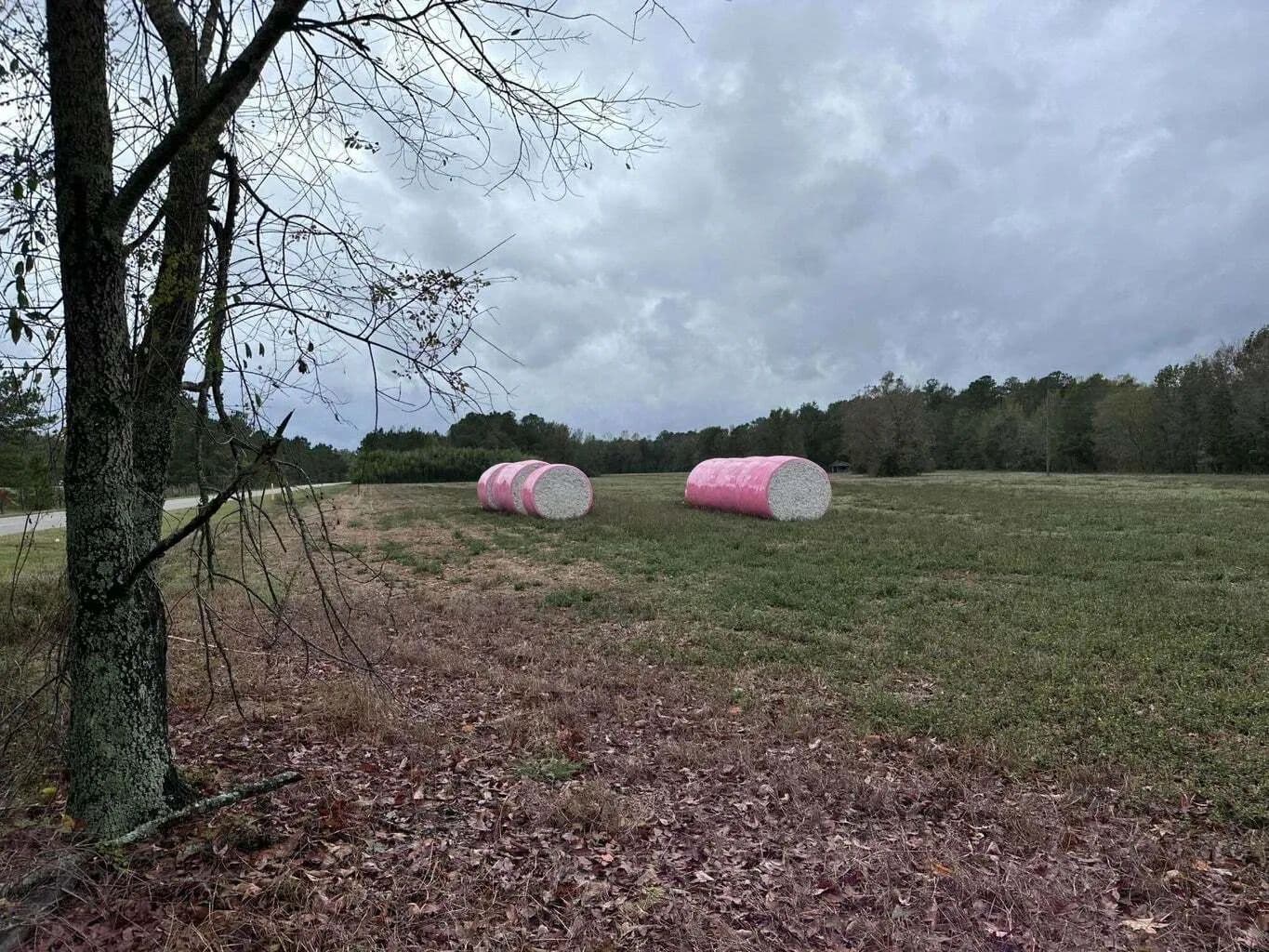 Vacant Land in Holly HIll - Holly Hill, South Carolina, 29059