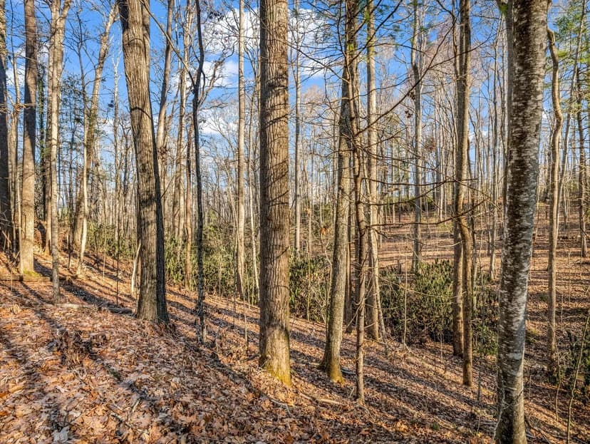 Lots & Land-Other in Hendersonville
