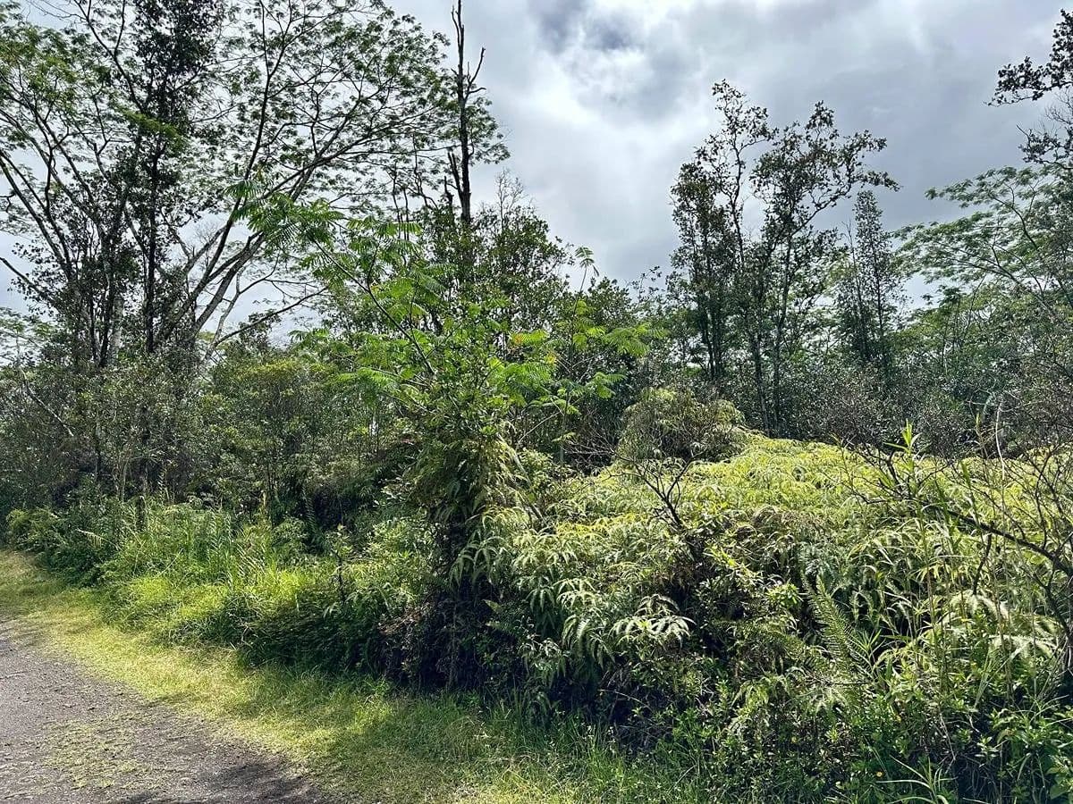 Lots & Land-Other in Mountain View - Mountain View, Hawaii, 96771