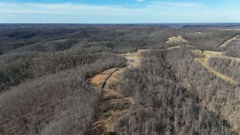 62.78 Acres Adjoining Daniel Boone National Forest | Morehead, KY