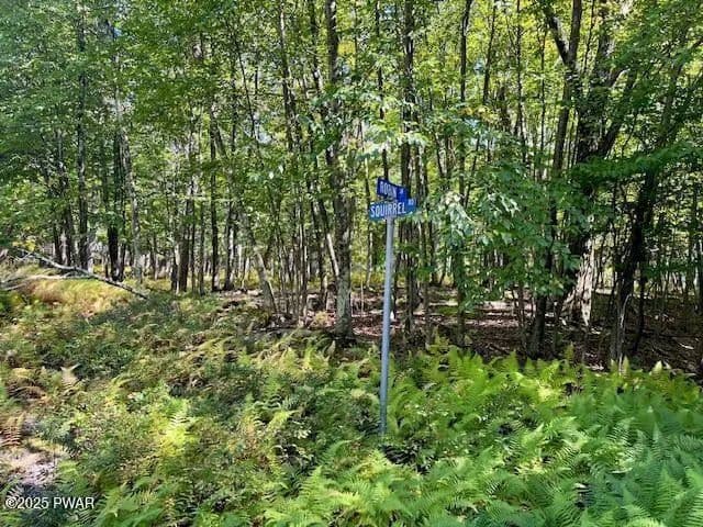 Vacant Land in Dingmans Ferry - Dingmans Ferry, Pennsylvania, 18328