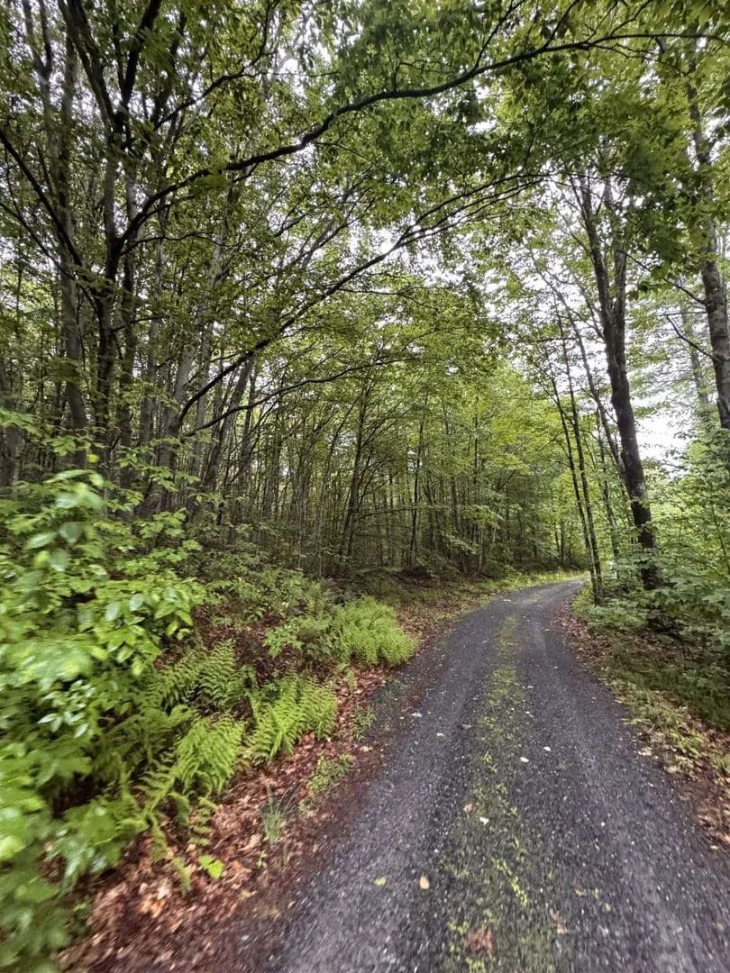 Vacant Land in Sullivan - Sullivan, New Hampshire, 3445
