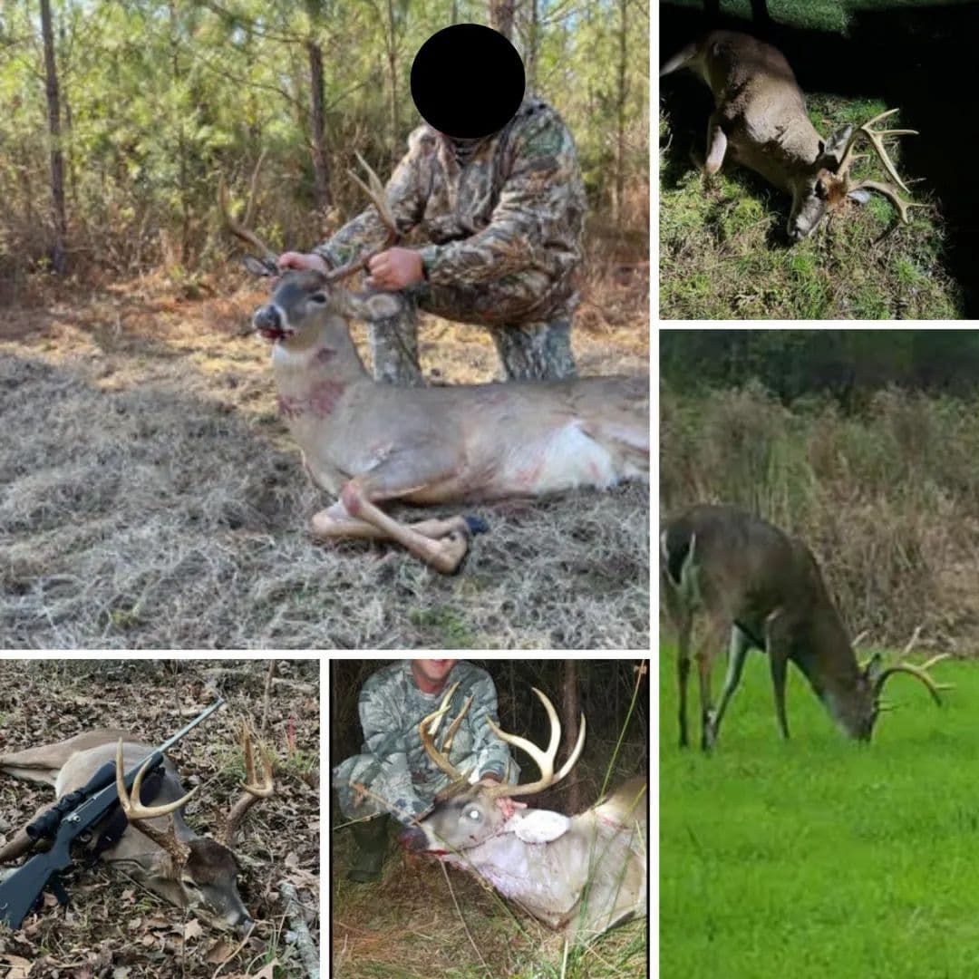 90± Acre Hunting Tract for Sale in Meadville, MS - Meadville, Mississippi, 39653