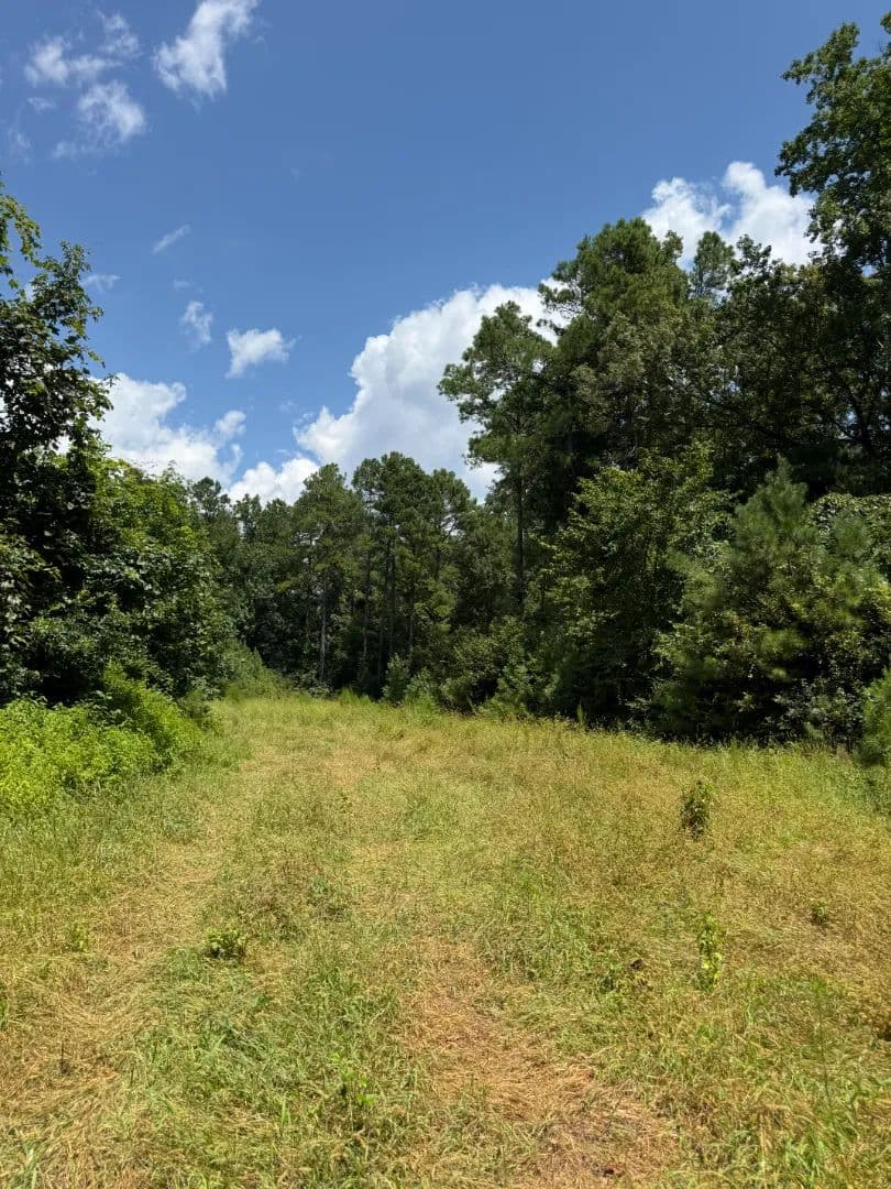 80 Acres in Choctaw County, MS - Ackerman, Mississippi, 39735