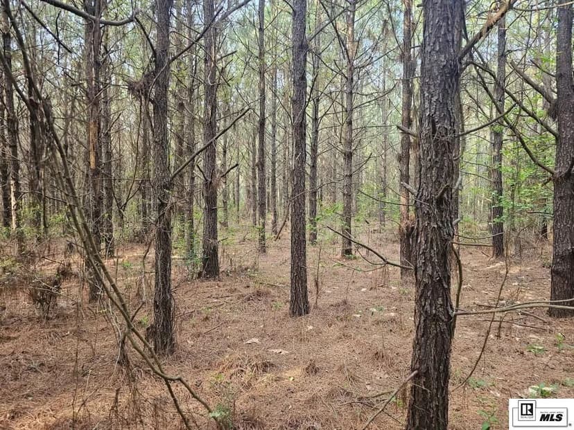 Vacant Land in Ruston