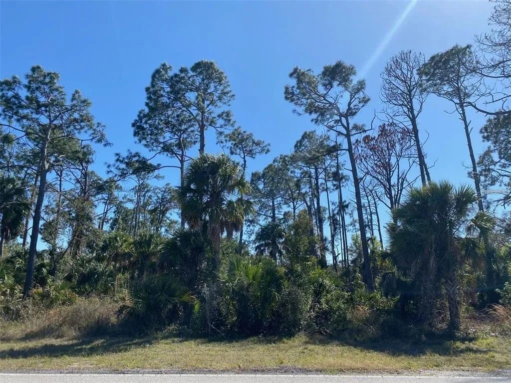 Vacant Land in Port Charlotte - Port Charlotte, Florida, 33954
