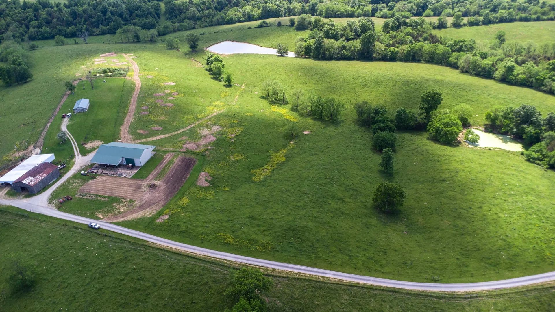 146 Acres of Land for Sale in Cynthiana, KY - Cynthiana, Kentucky, 41031