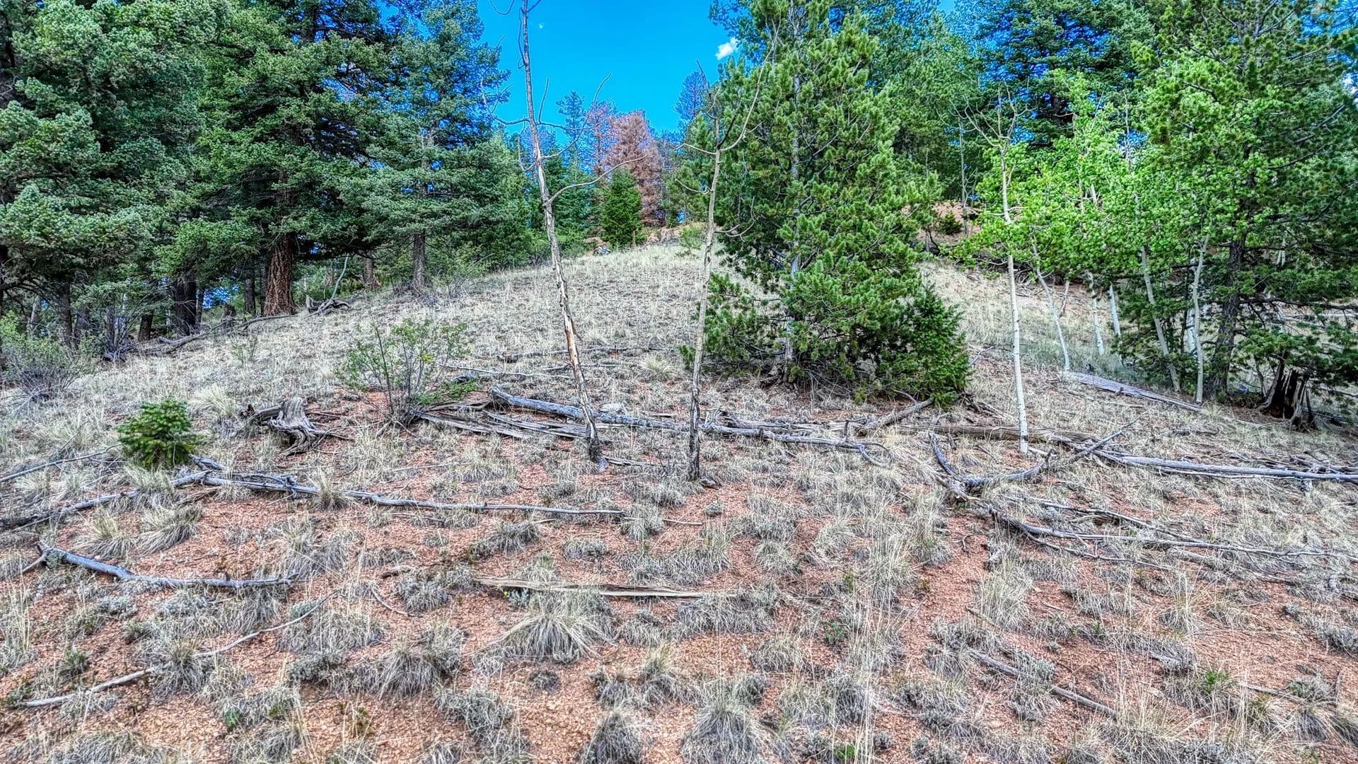 Vacant Land in Cripple Creek - Cripple Creek, Colorado, 80813