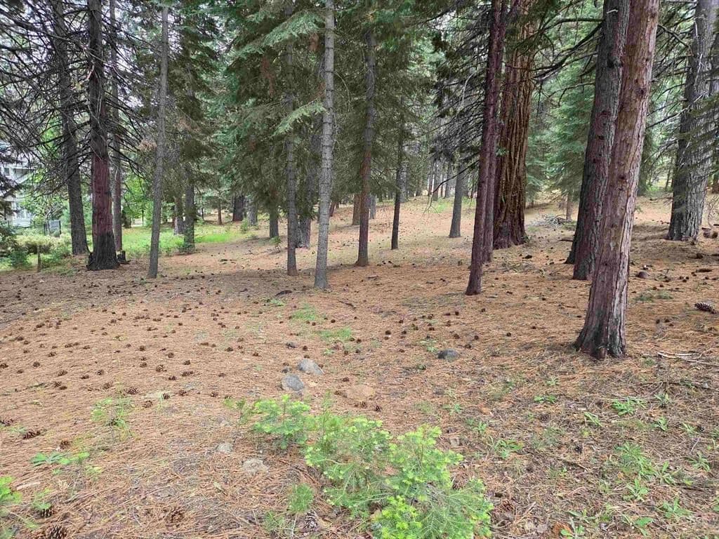 Vacant Land in Lake Almanor West - Lake Almanor West, California, 96020