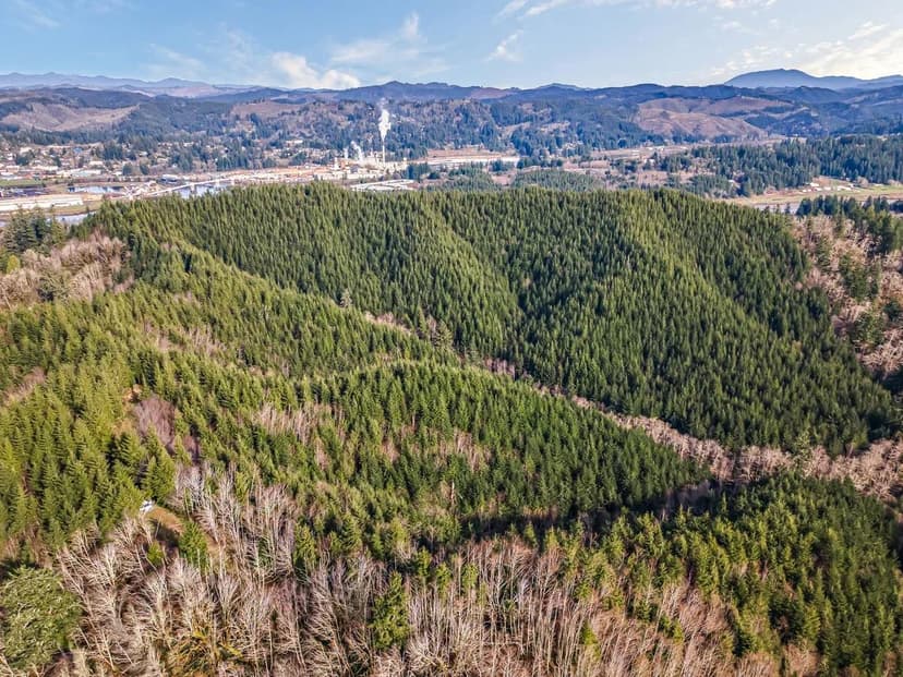 Toledo Timber Tract