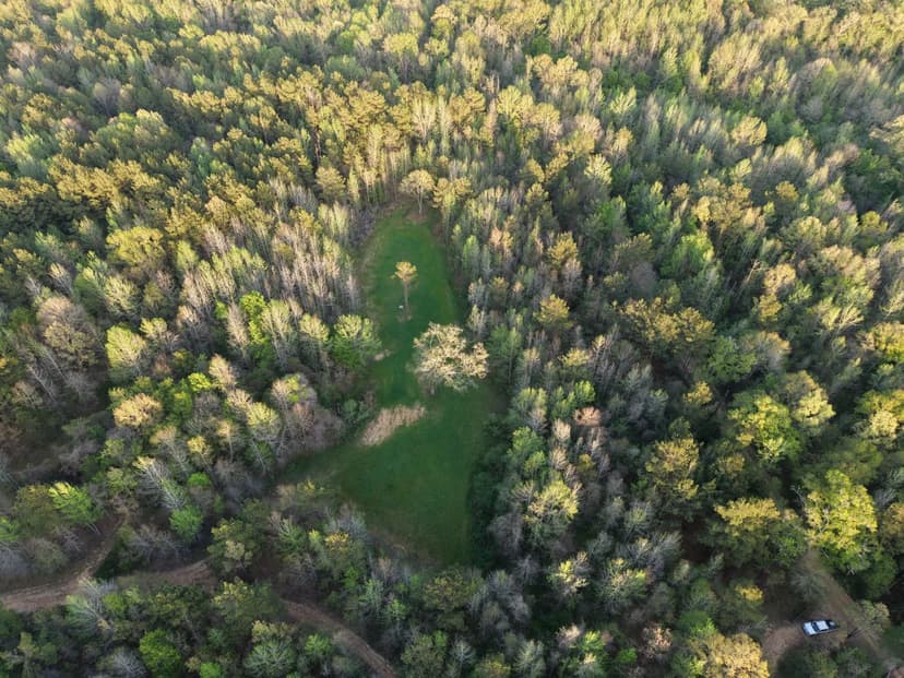 17 Acres with A Camp in Jefferson County, MS 