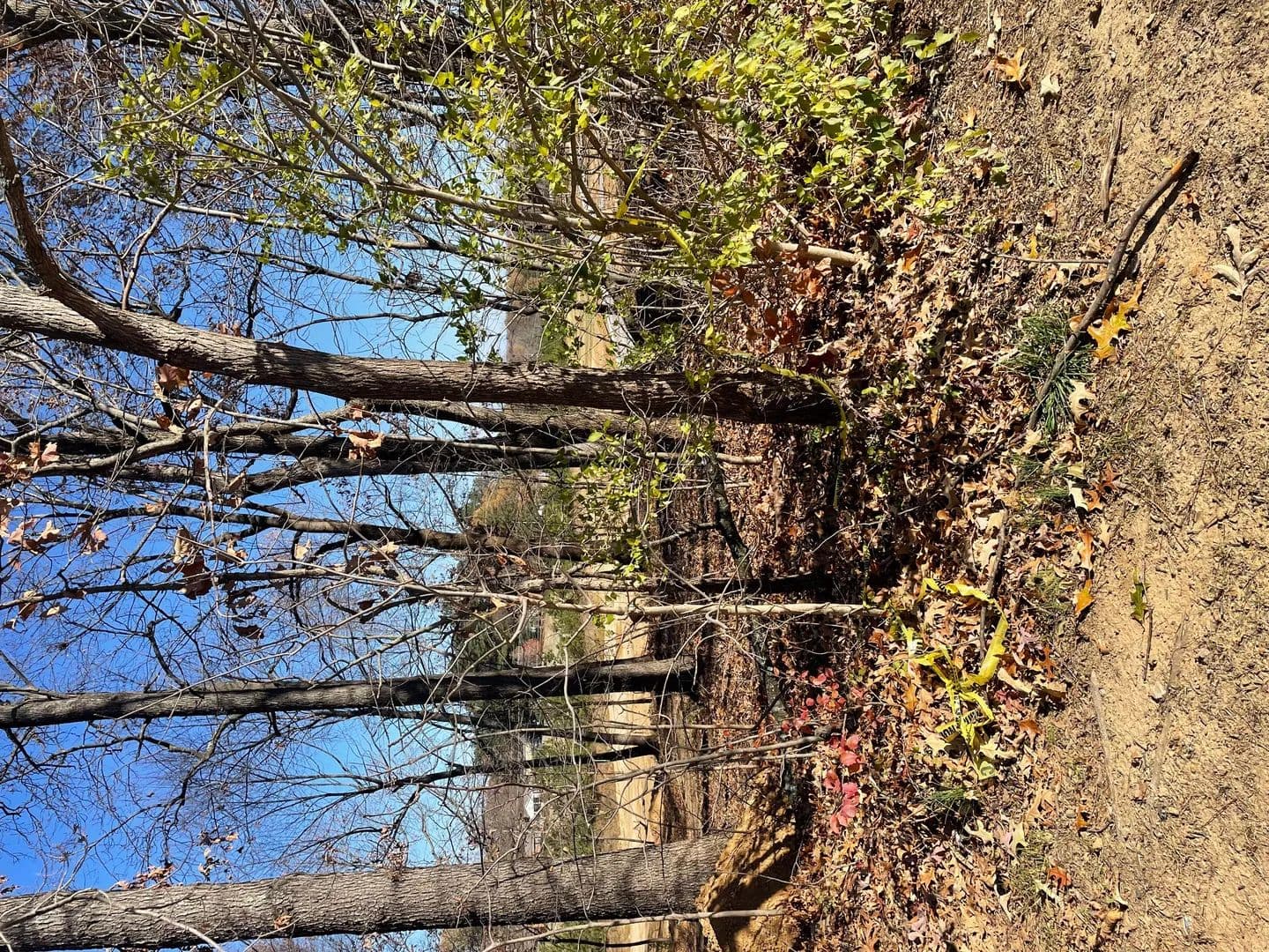 Land -Agricultural (Not Zoned) in Paducah - land for sale
