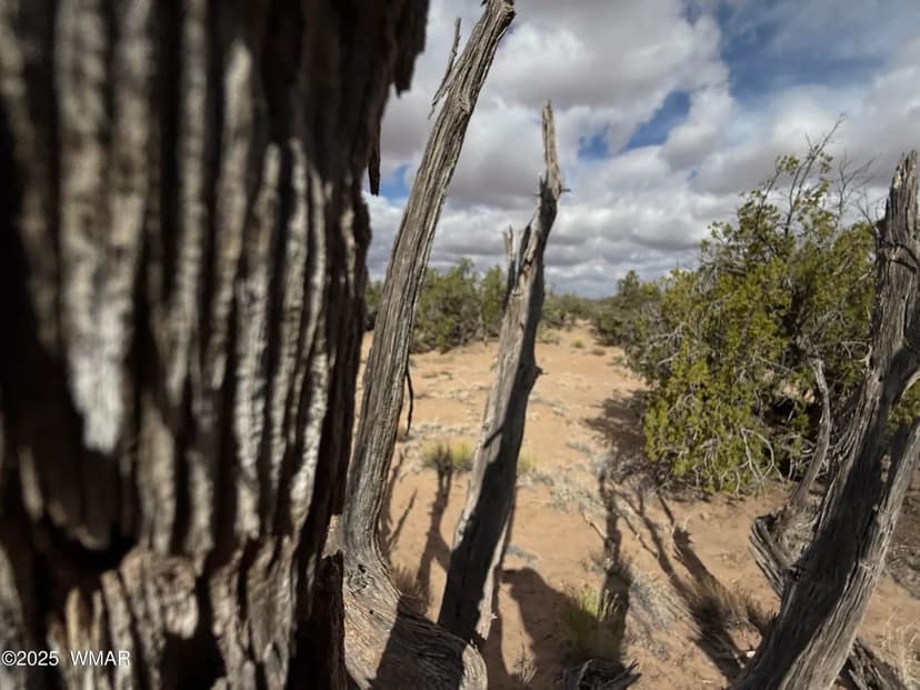 Property from 6625 North - KW