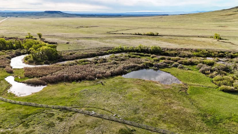 East River Run  on The Little Laramie