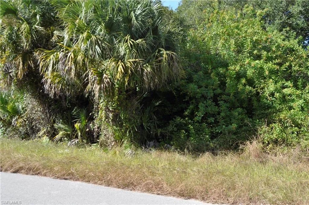 Vacant Land in Lehigh Acres - Lehigh Acres, Florida, 33974