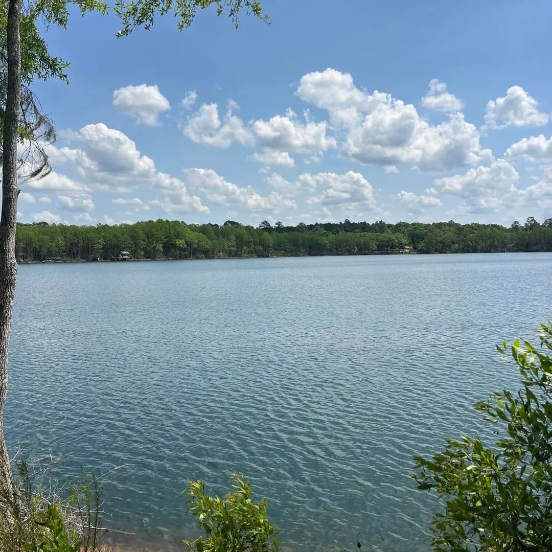 Lots & Land-Other in Ponce De Leon - Ponce De Leon, Florida, 32455