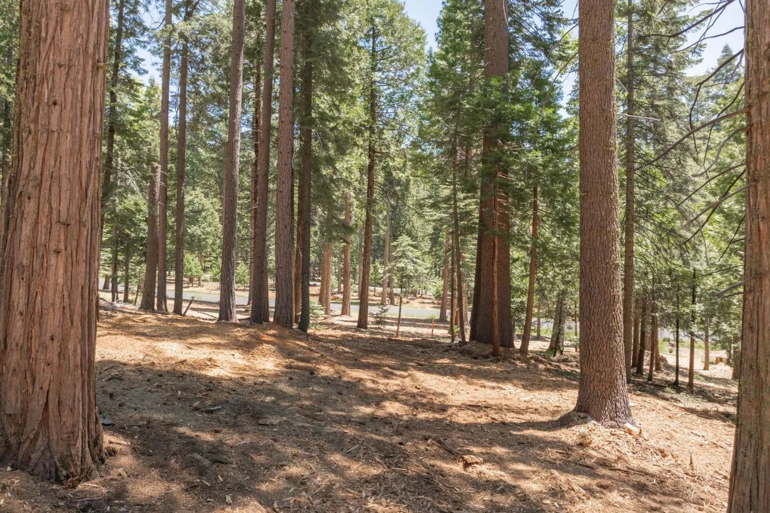 Lots & Land-Other in Camp Connell - Camp Connell, California, 95223