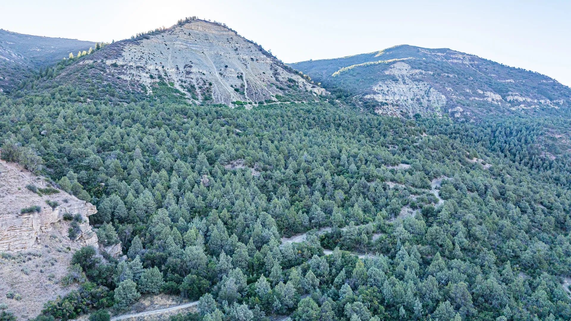 The Hubbard Creek 40 - Colorado, 81428