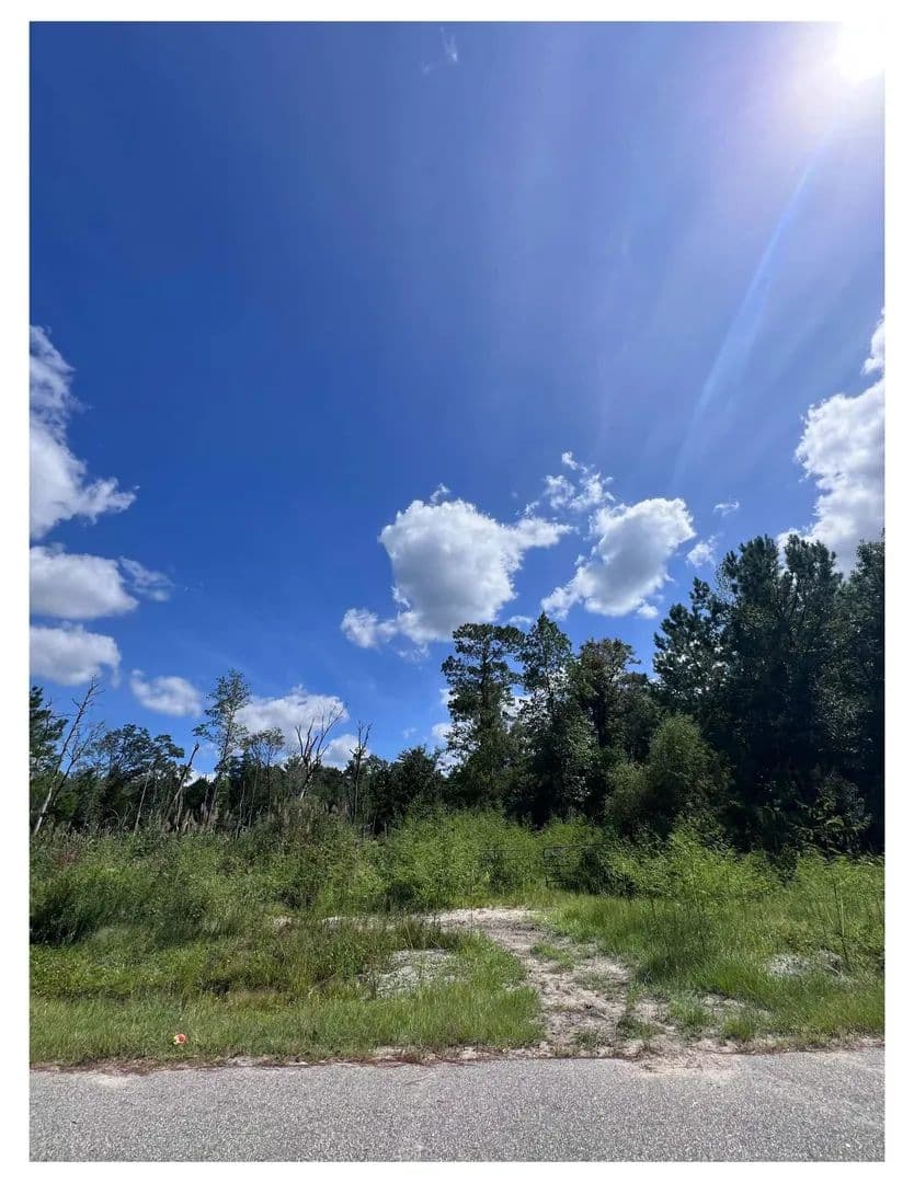 Vacant Land in Loris - Loris, South Carolina, 29569