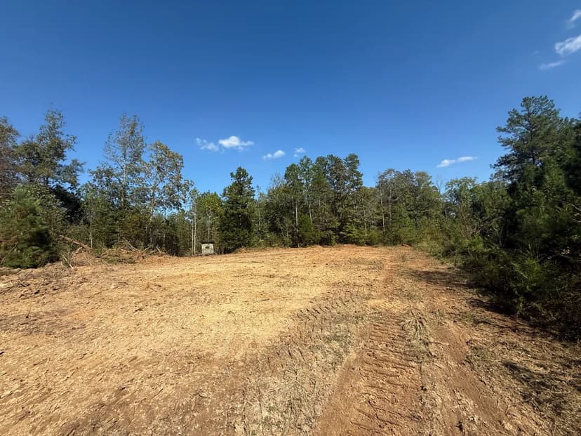 158.51 Acres in Decatur County, TN