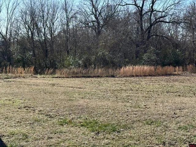 Vacant Land in Cotter - Cotter, Arkansas, 72626