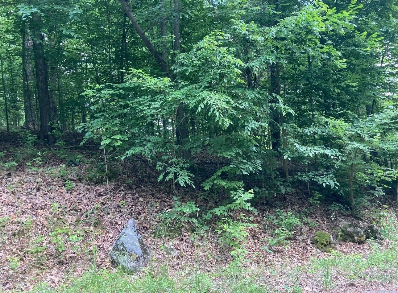 Property from 0 Briarwood Drive - KW - Erin, Tennessee, 37061