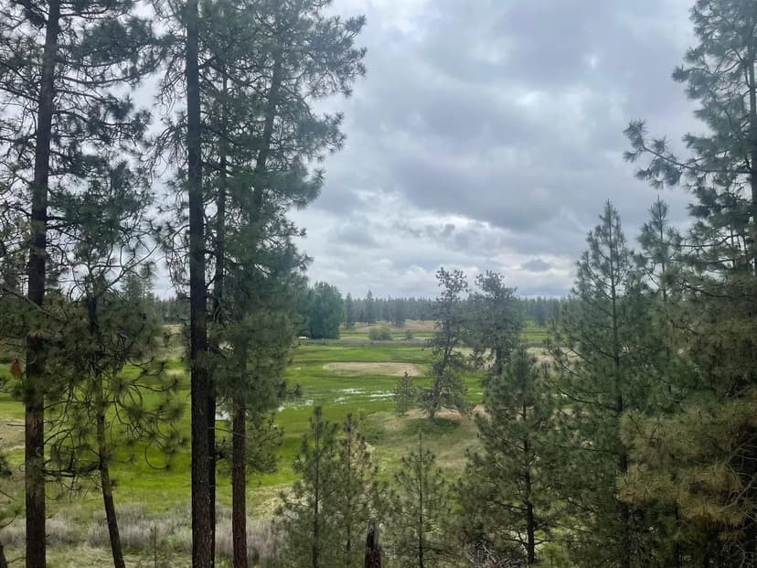 Property from XXX S Cheney Plaza Rd - KW