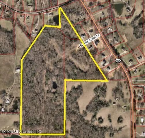 65.36 Acres of Land for Sale in Hernando, Mississippi - Hernando, Mississippi, 38632